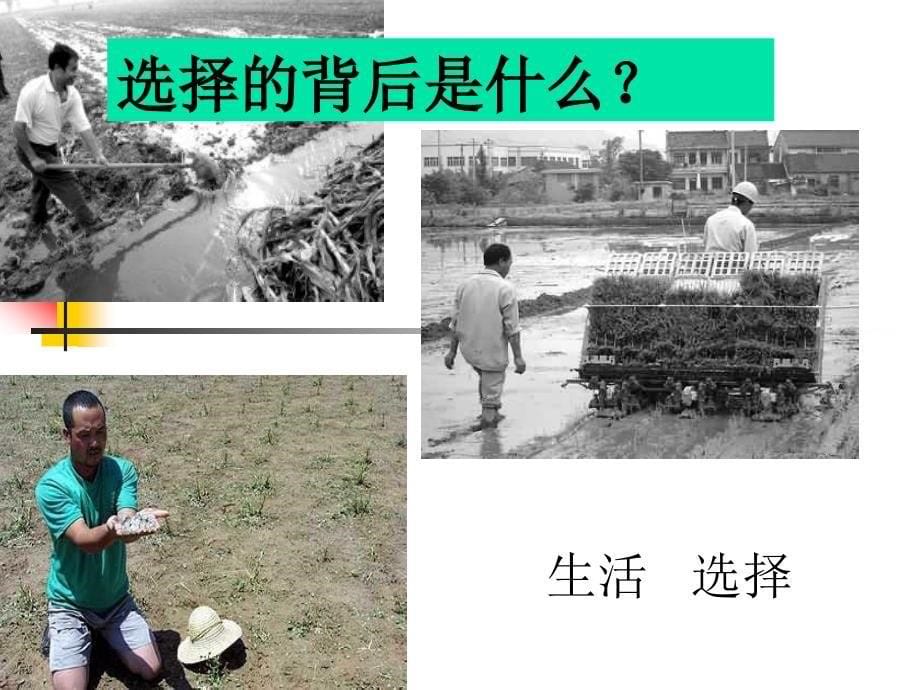 《前途理想教育》PPT课件.ppt_第5页