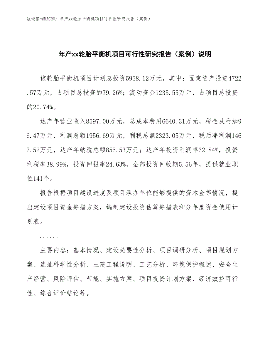 年产xx轮胎平衡机项目可行性研究报告（案例） (1)_第2页