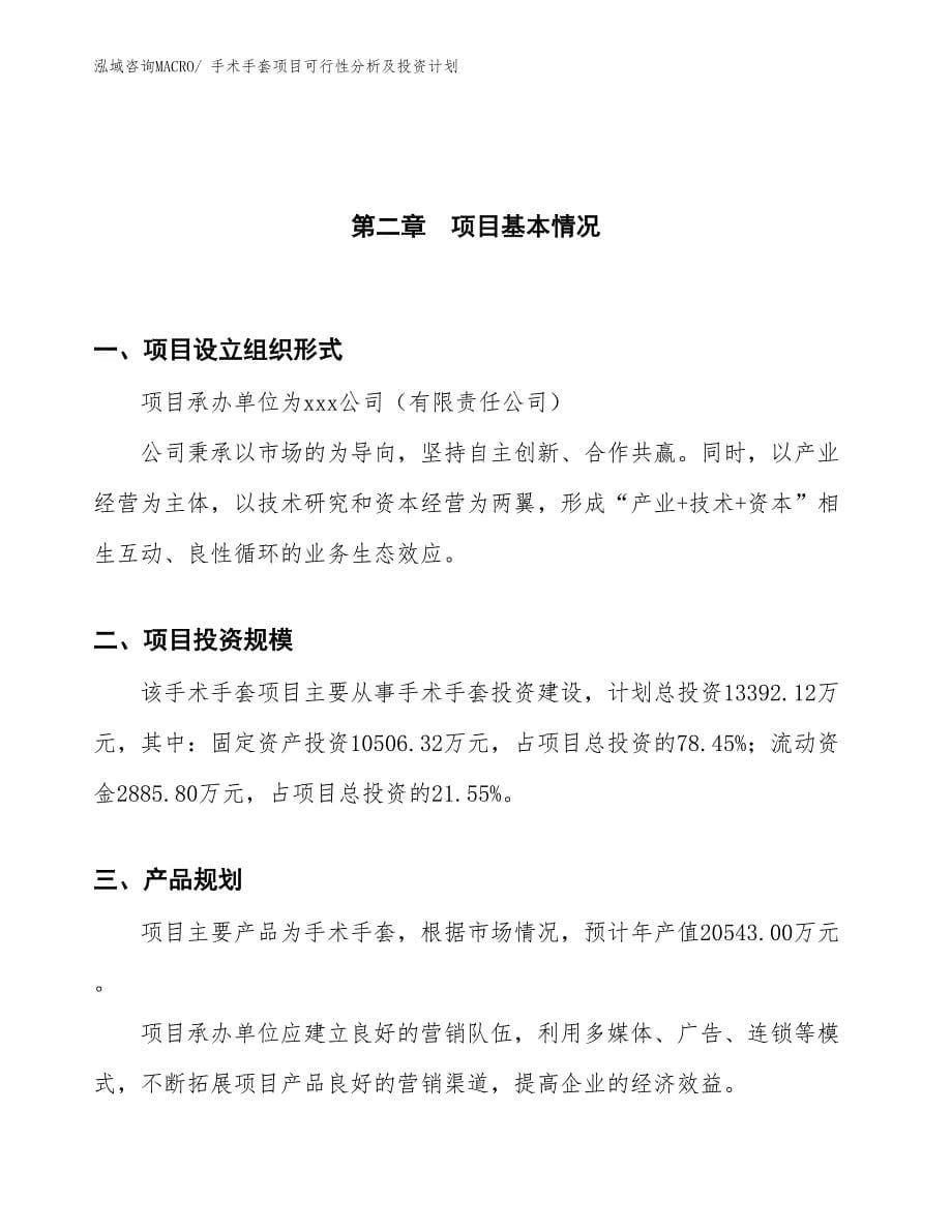 手术手套项目可行性分析及投资计划_第5页