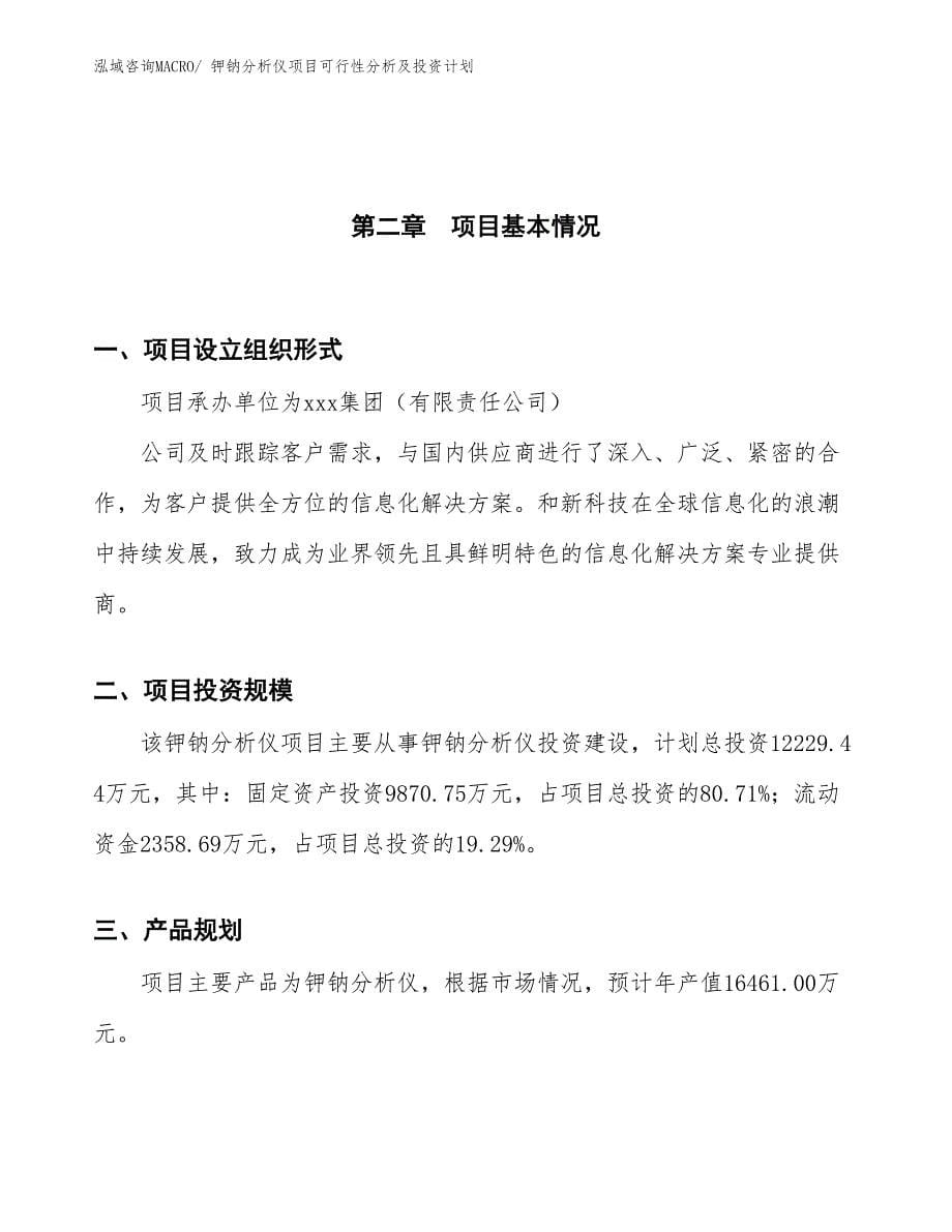 钾钠分析仪项目可行性分析及投资计划_第5页