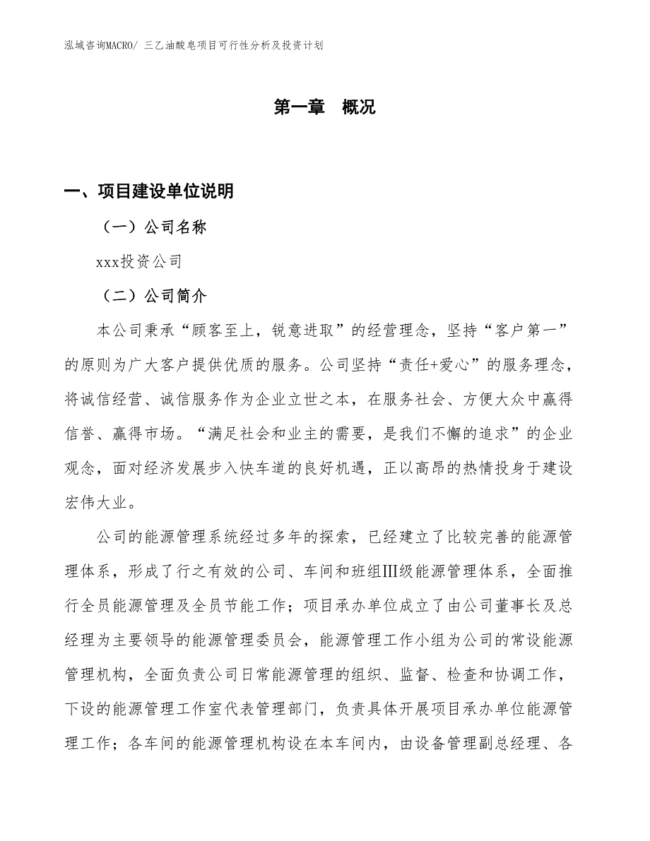 三乙油酸皂项目可行性分析及投资计划_第1页