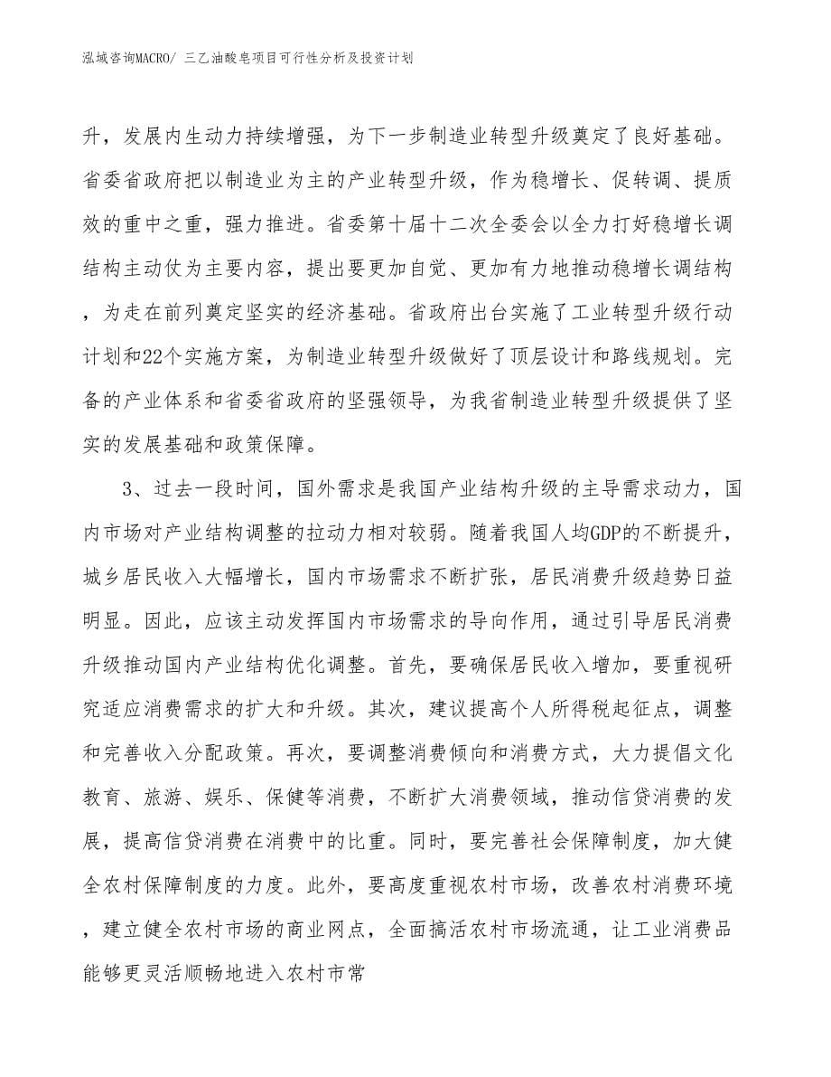 三乙油酸皂项目可行性分析及投资计划_第5页