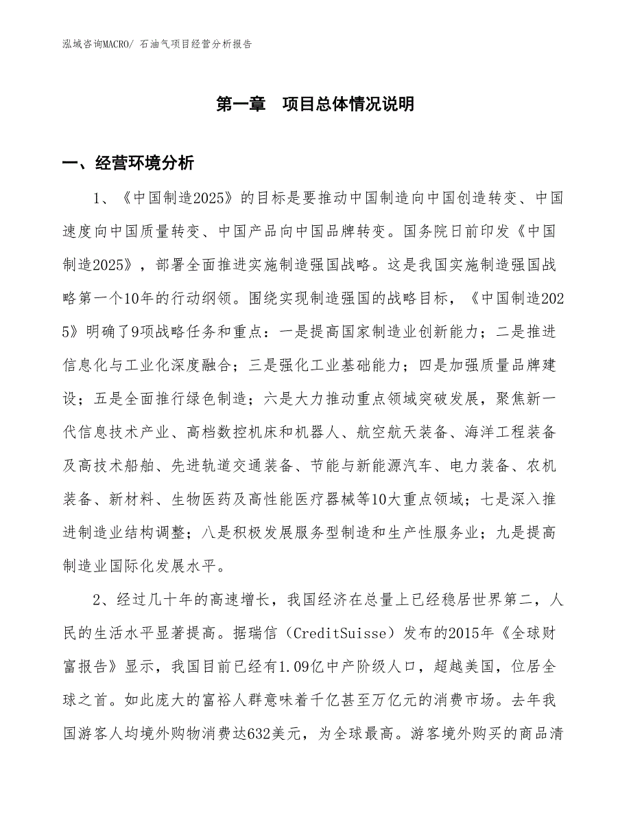 石油气项目经营分析报告_第1页