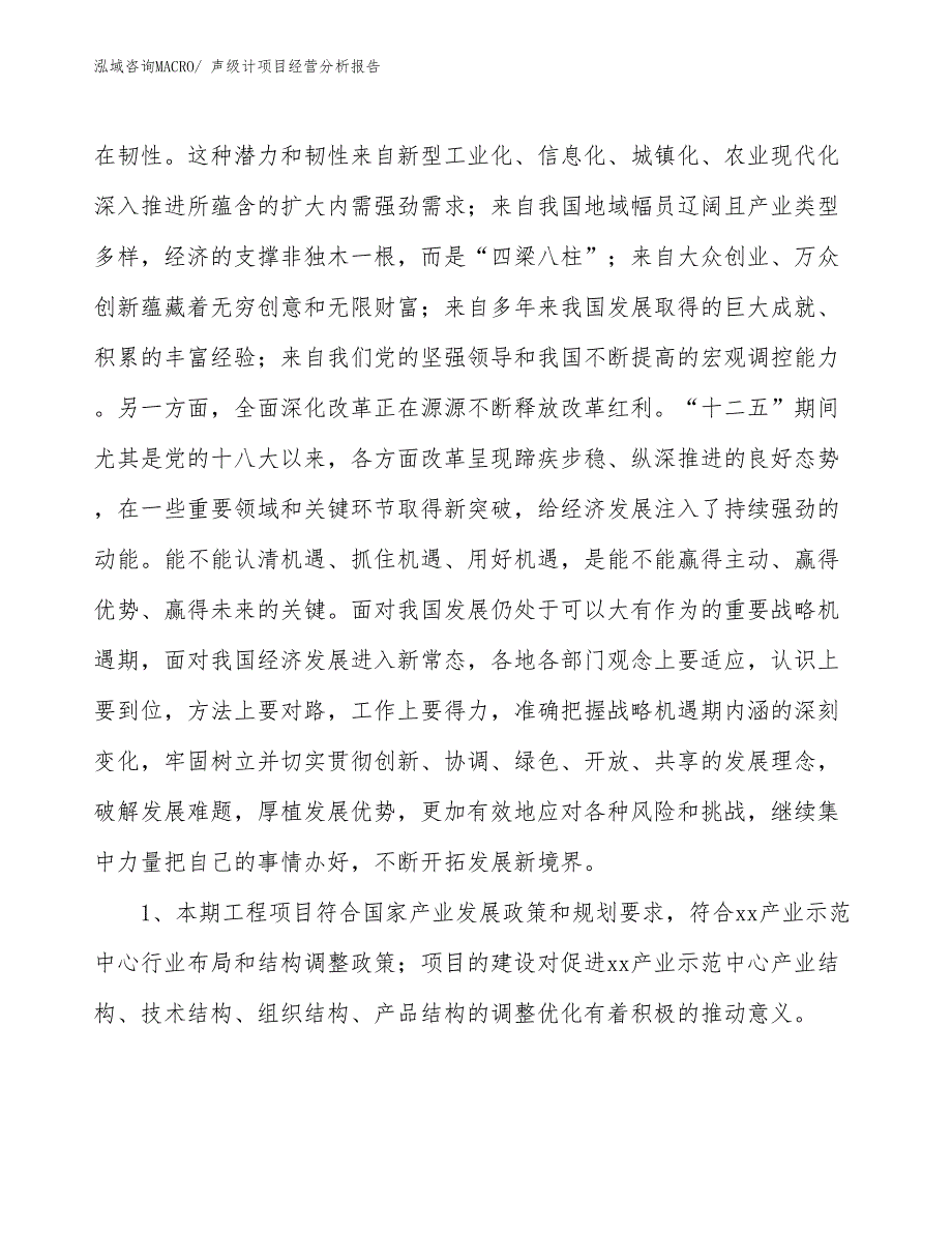 声级计项目经营分析报告 (1)_第4页