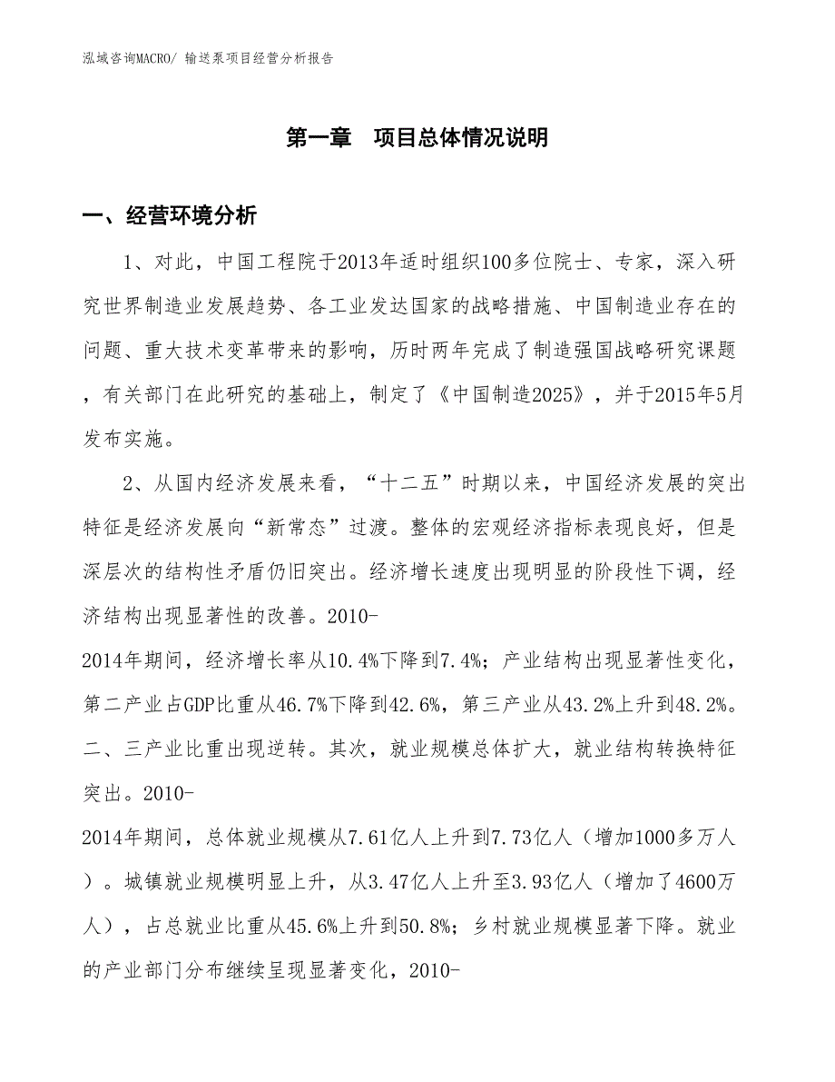 输送泵项目经营分析报告_第1页