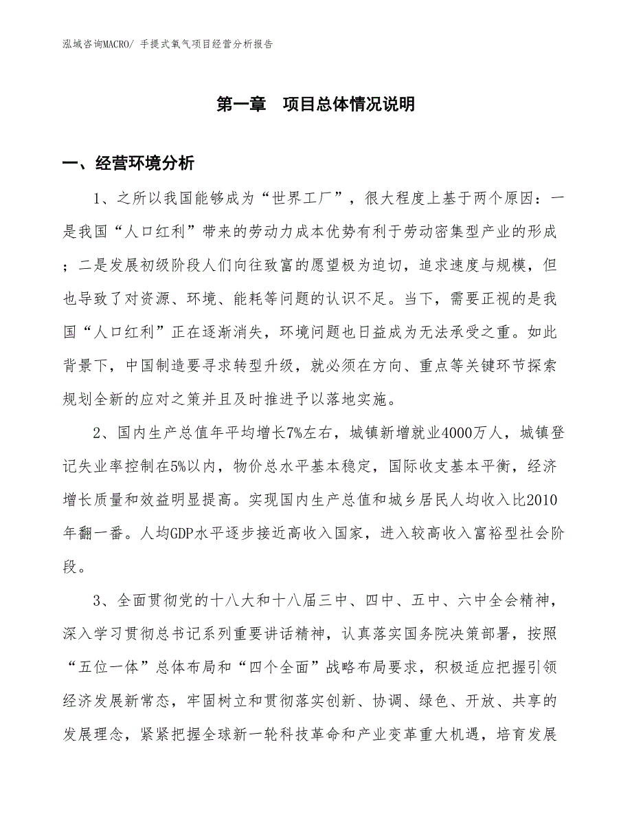 手提式氧气项目经营分析报告_第1页