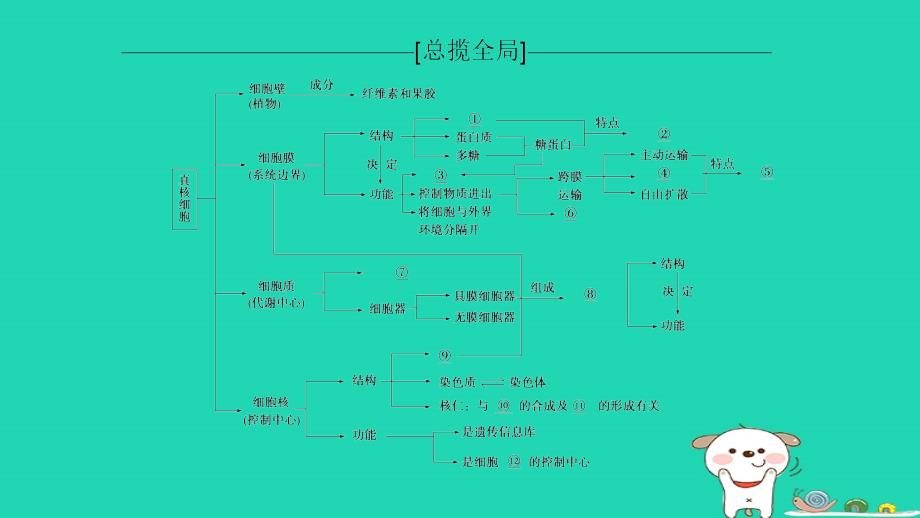 全国2019版版高考生物一轮复习第2单元细胞的基本结构与物质的输入和输出单元网络构建课件_第2页