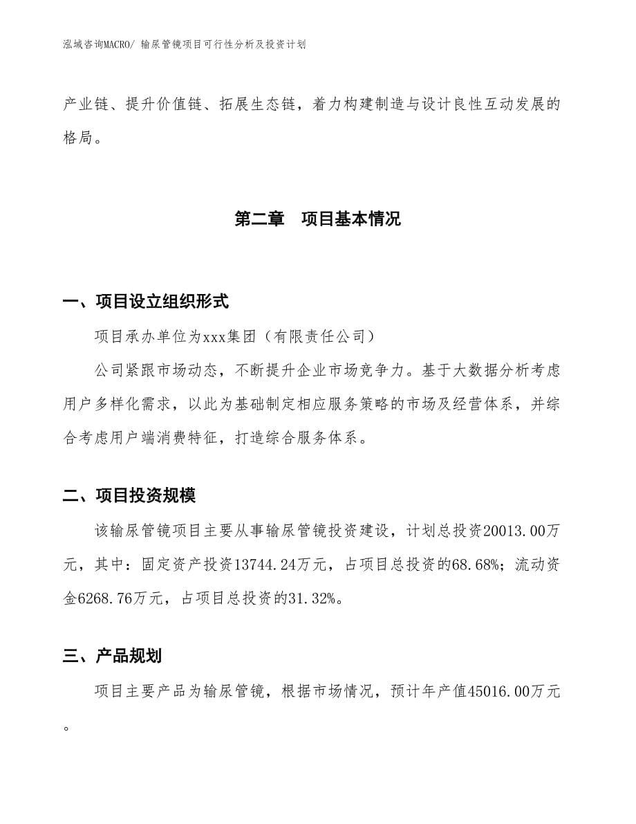 输尿管镜项目可行性分析及投资计划_第5页