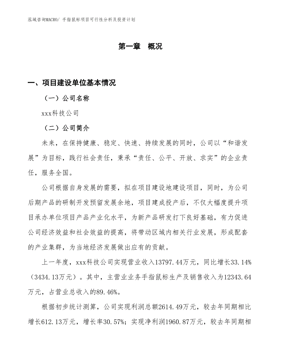 手指鼠标项目可行性分析及投资计划_第1页