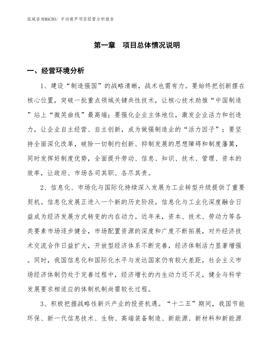 手动葫芦项目经营分析报告_第1页