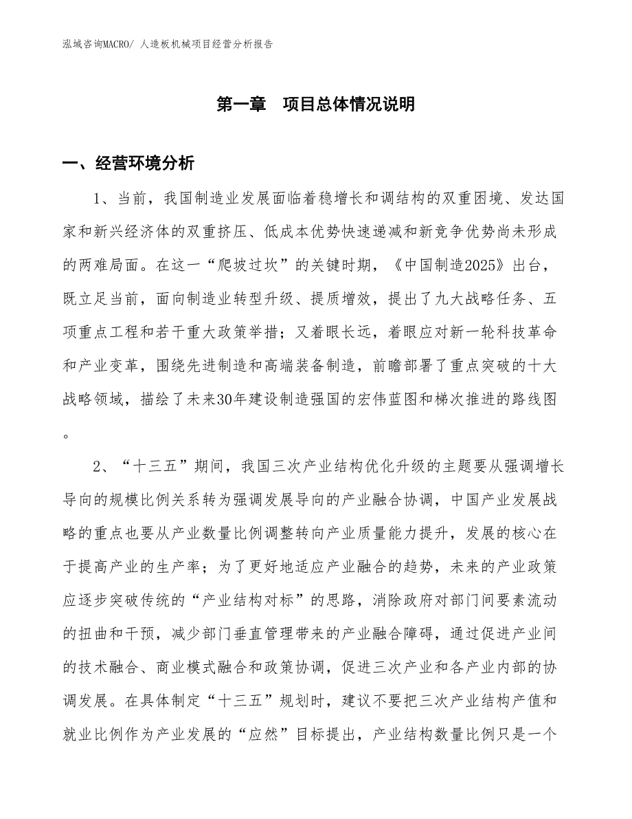 （模板）人造板机械项目经营分析报告_第1页