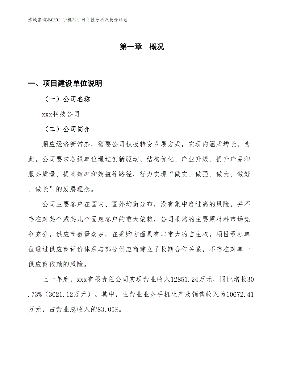 手机项目可行性分析及投资计划_第1页