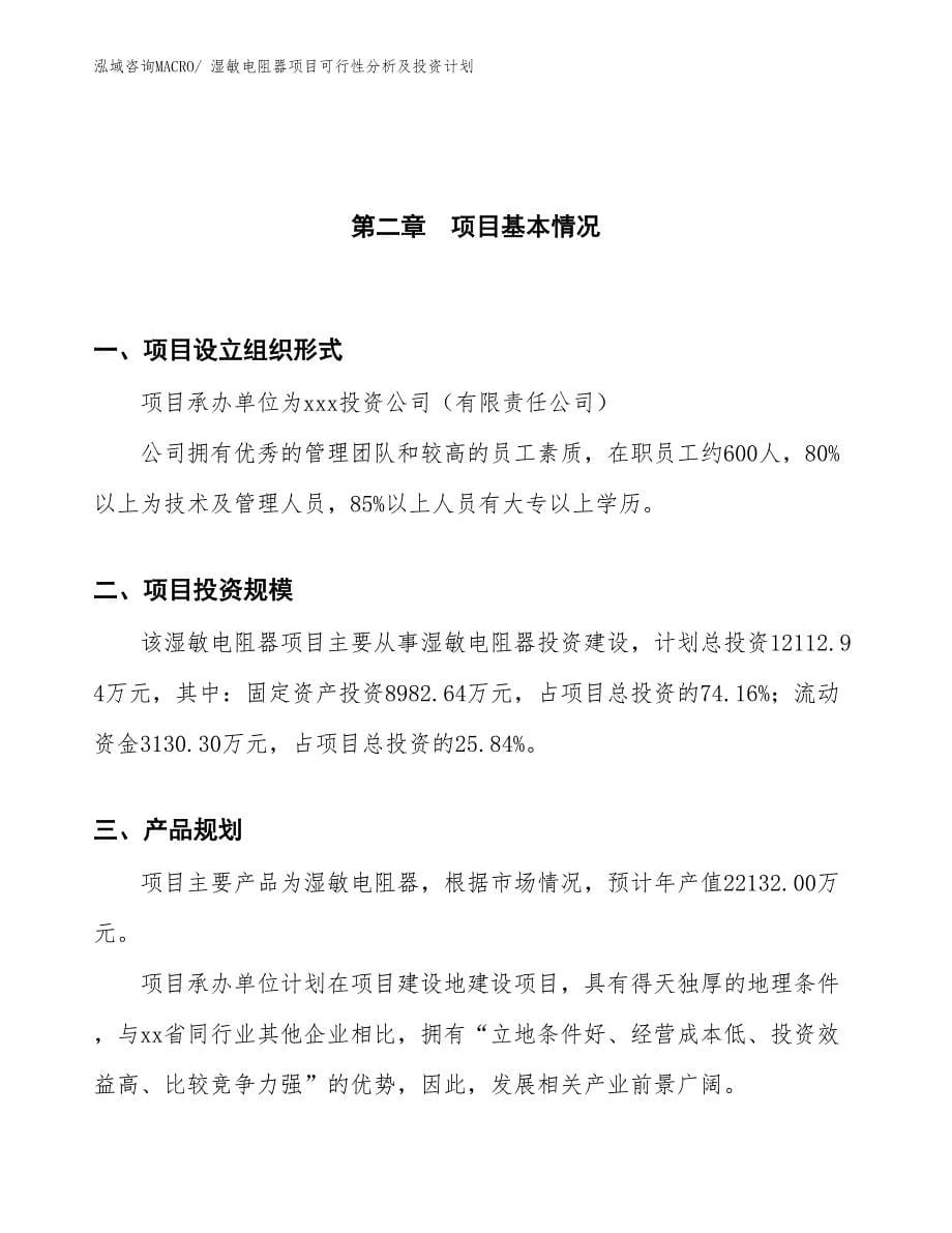 湿敏电阻器项目可行性分析及投资计划_第5页