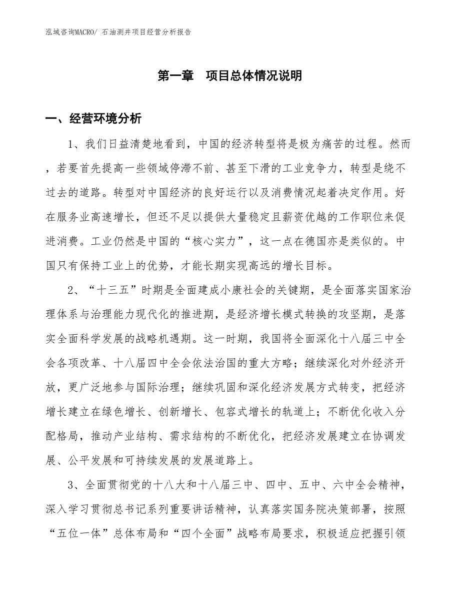 石油测井项目经营分析报告_第1页