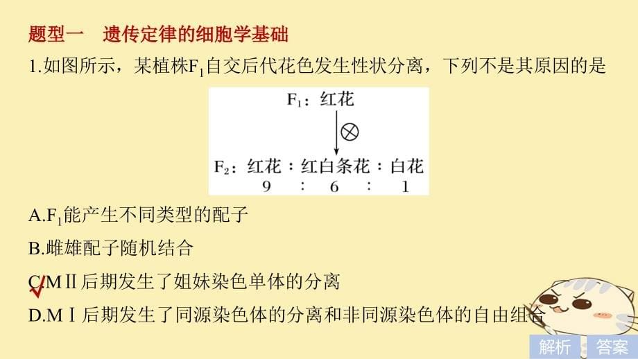 2019版高考生物一轮总复习第五单元遗传的分子基础热点题型突破三遗传规律的综合应用课件_第5页