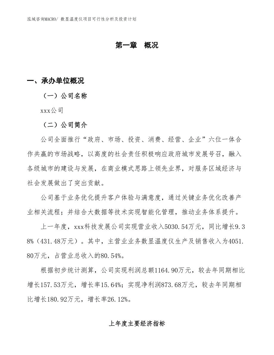 数显温度仪项目可行性分析及投资计划_第1页