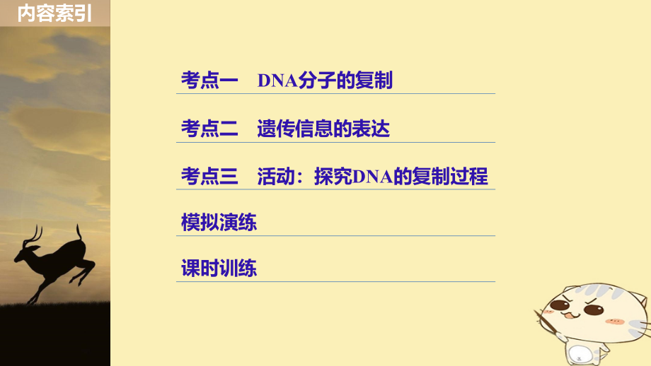 2019版高考生物一轮总复习第五单元遗传的分子基础第18讲遗传信息的传递和表达课件_第3页