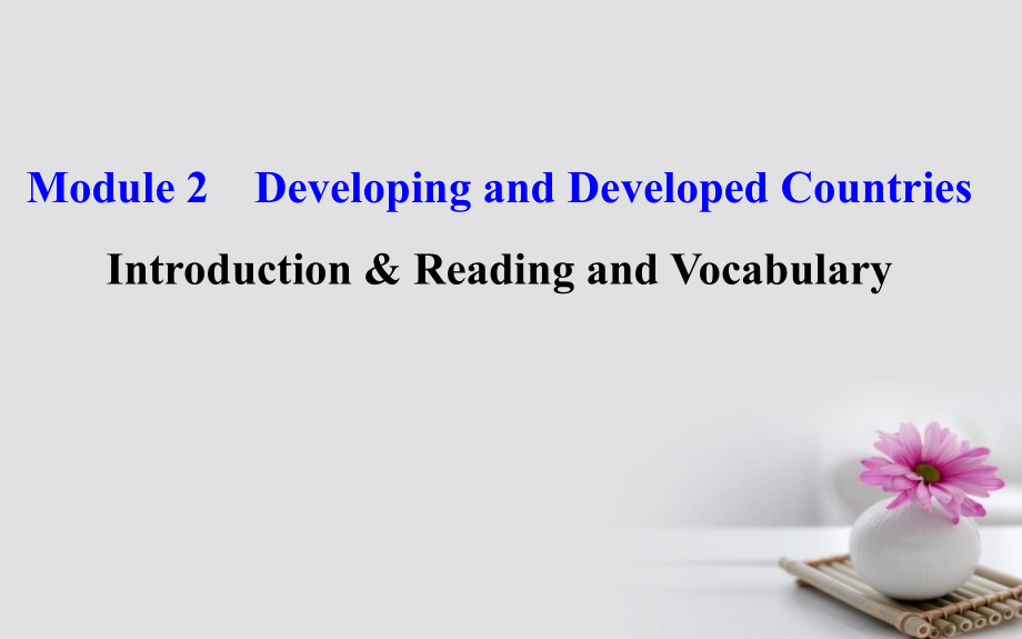 课时讲练通2018-2019学年高中英语module2developinganddevelopedcountriesperiod2readingandvocabulary要点讲解课+精讲优练课型课件外研版_第1页