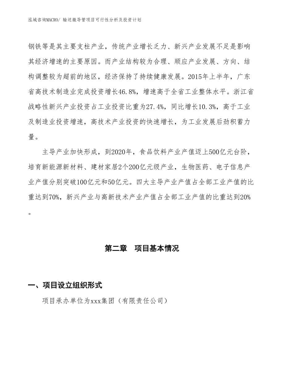 输送微导管项目可行性分析及投资计划_第5页