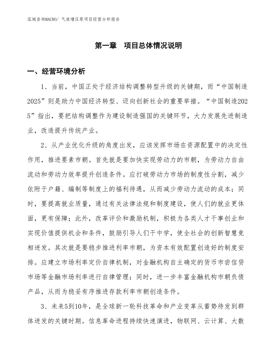 （模板）气液增压泵项目经营分析报告_第1页