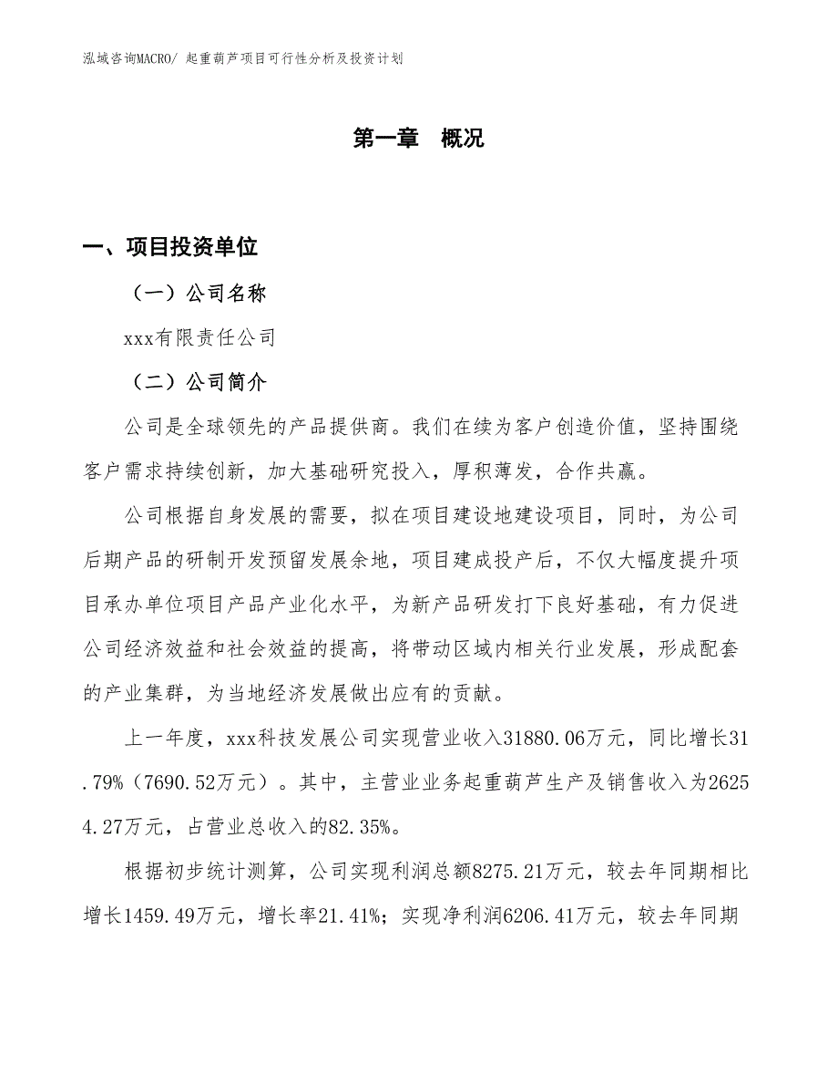 起重葫芦项目可行性分析及投资计划_第1页