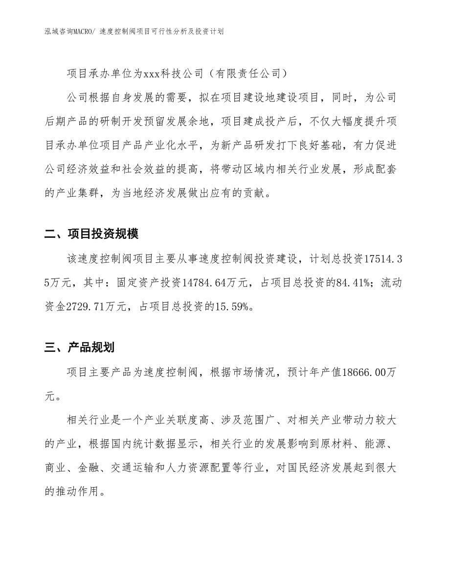 速度控制阀项目可行性分析及投资计划_第5页