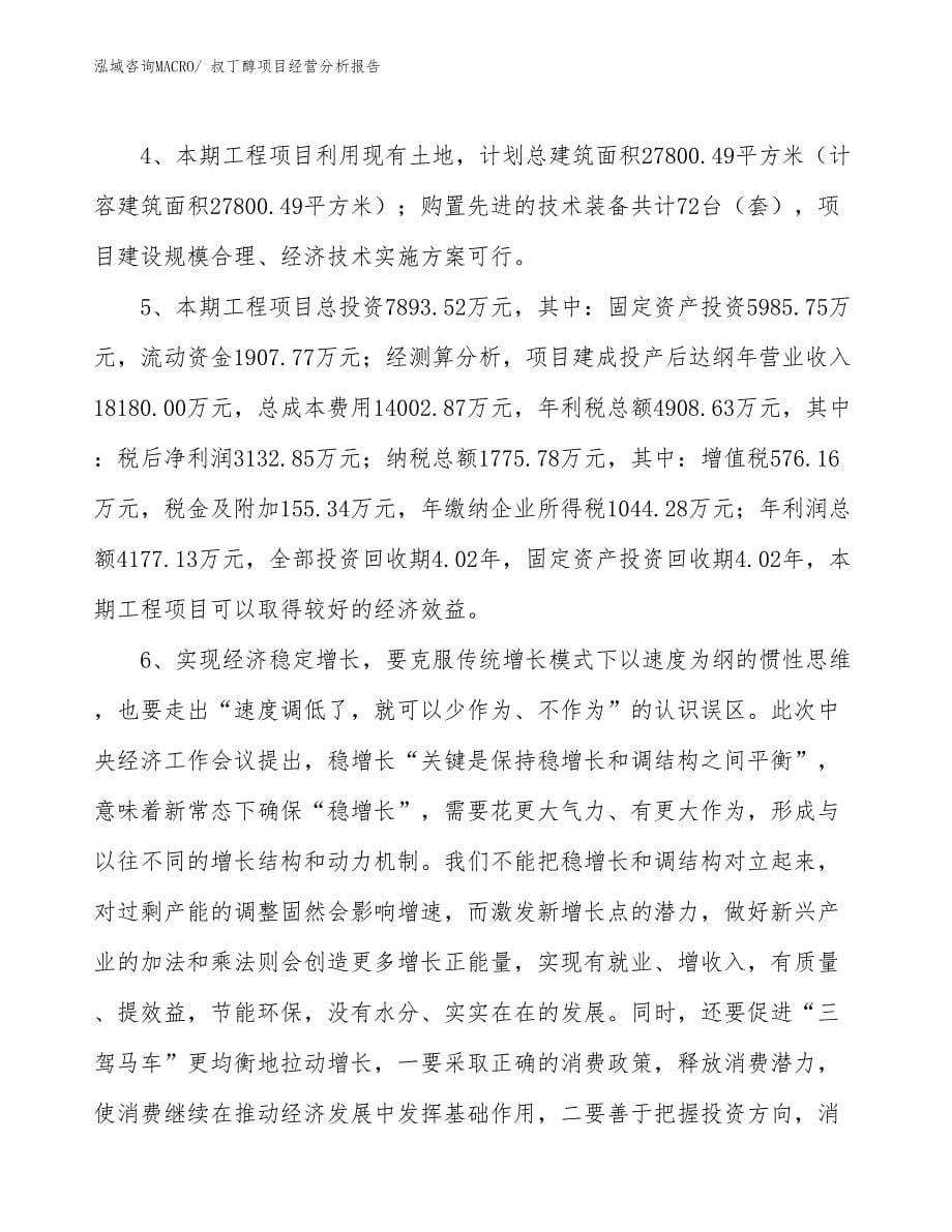 叔丁醇项目经营分析报告_第5页