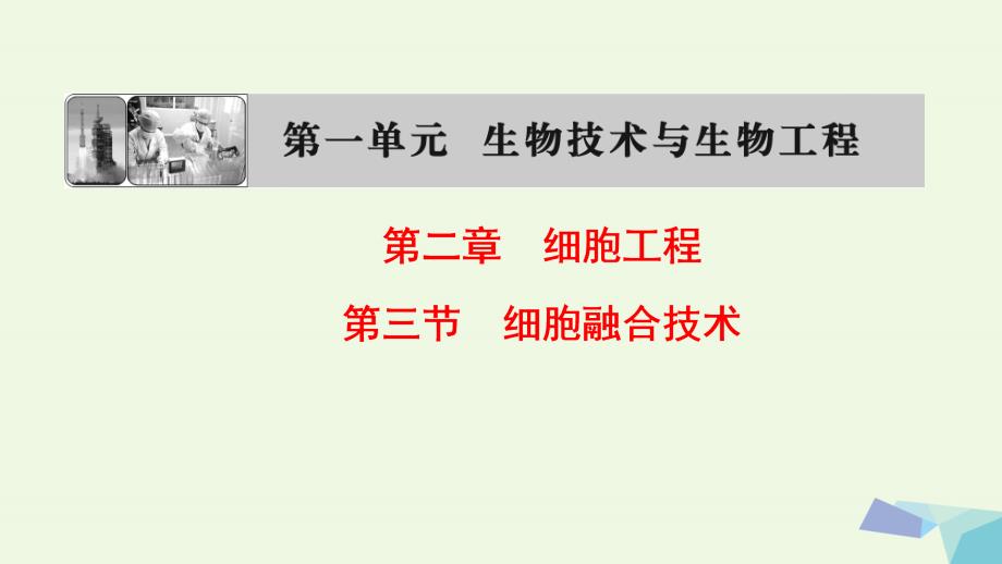 2018-2019年高中生物第一单元生物技术与生物工程第二章细胞工程第3节细胞融合技术课件中图版_第1页