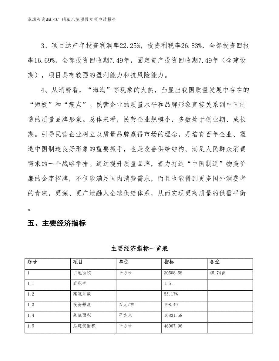 硝基乙烷项目立项申请报告_第5页