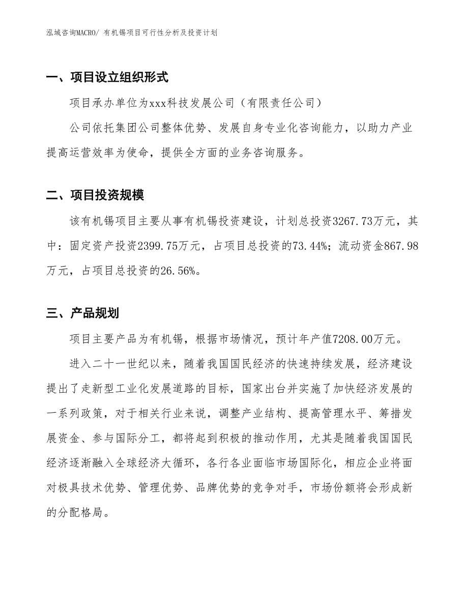 有机锡项目可行性分析及投资计划_第5页