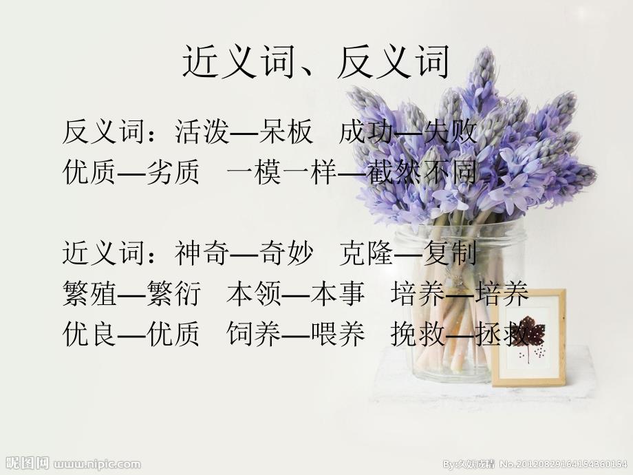 神奇的克隆 课件.ppt_第1页