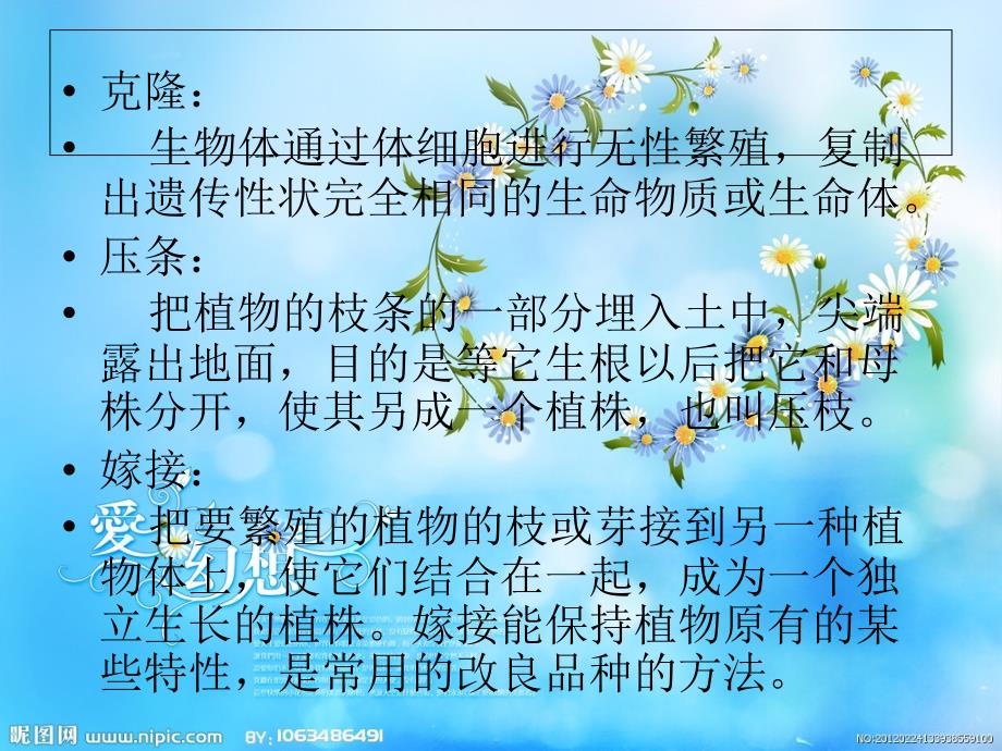 神奇的克隆 课件.ppt_第2页