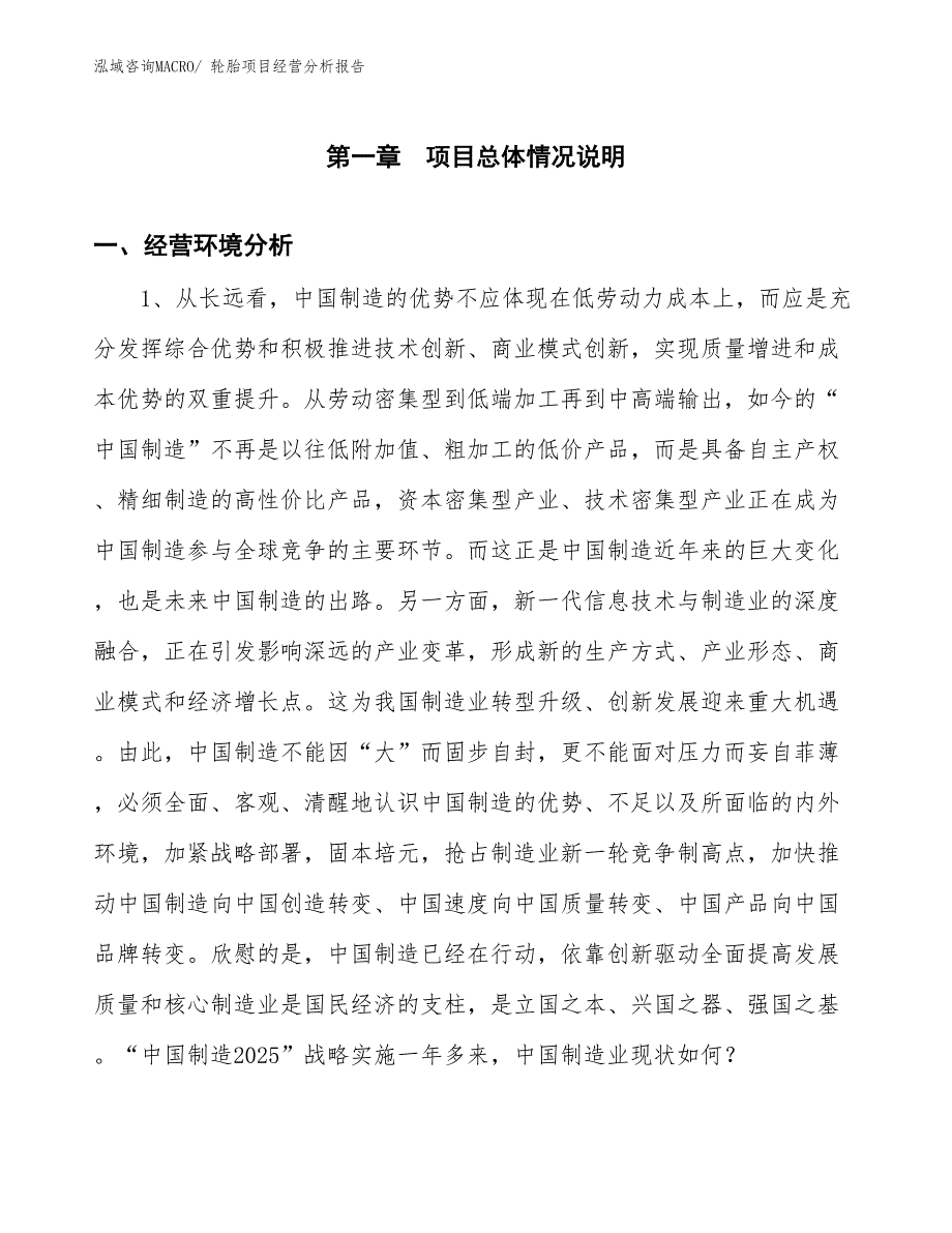 （案例）轮胎项目经营分析报告_第1页