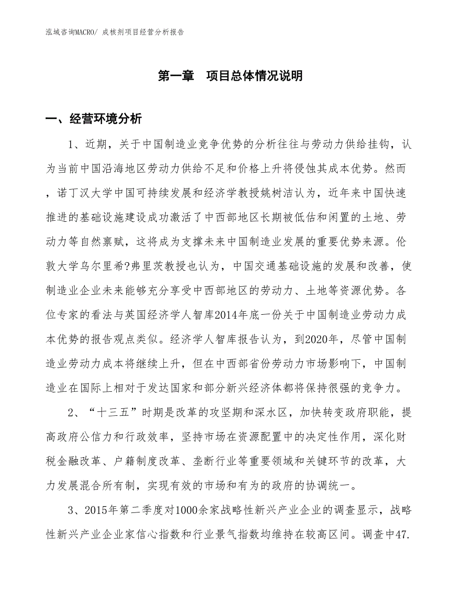 （案例）成核剂项目经营分析报告_第1页