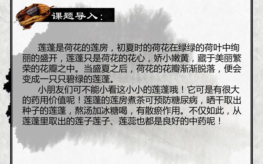 莲蓬 美术教育课件.ppt_第2页