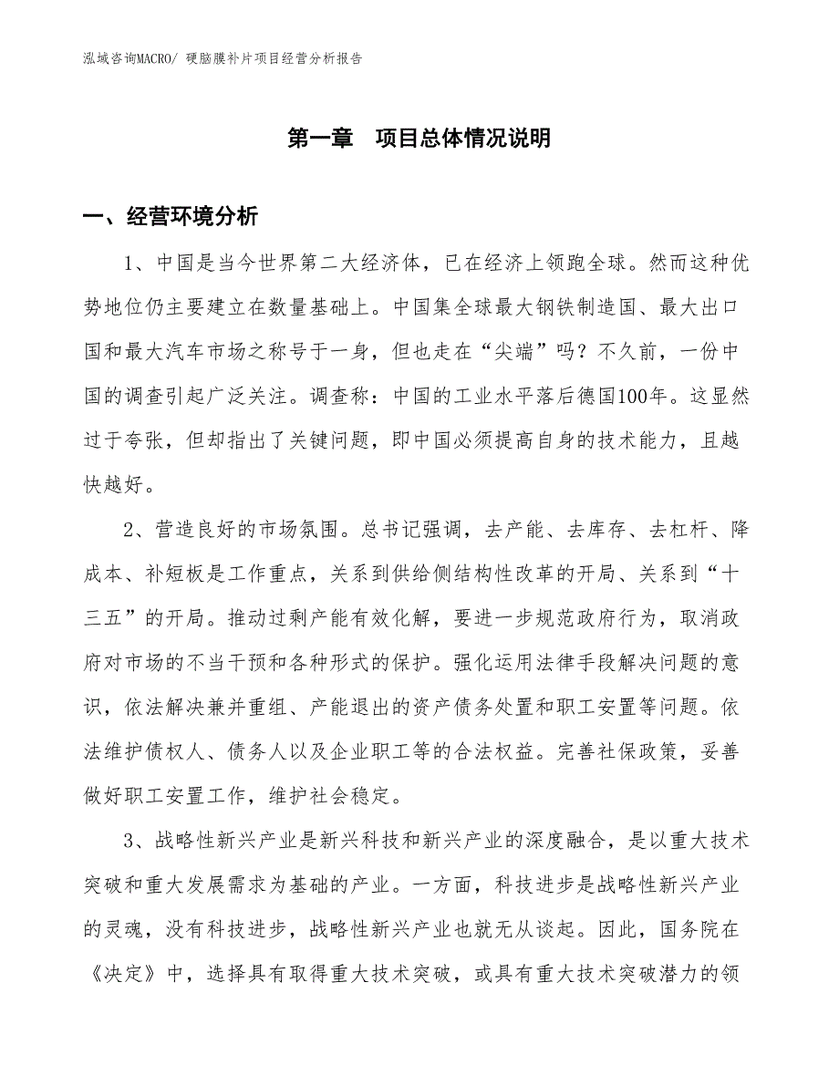 硬脑膜补片项目经营分析报告_第1页