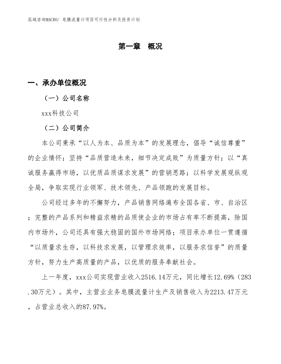 皂膜流量计项目可行性分析及投资计划 (1)_第1页