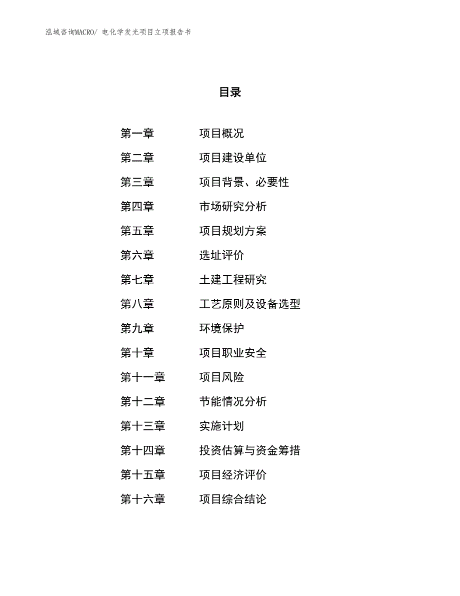 电化学发光项目立项报告书 (1)_第1页