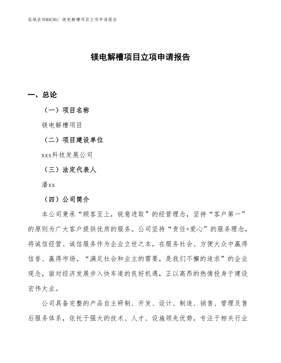 （案例）镁电解槽项目立项申请报告_第1页