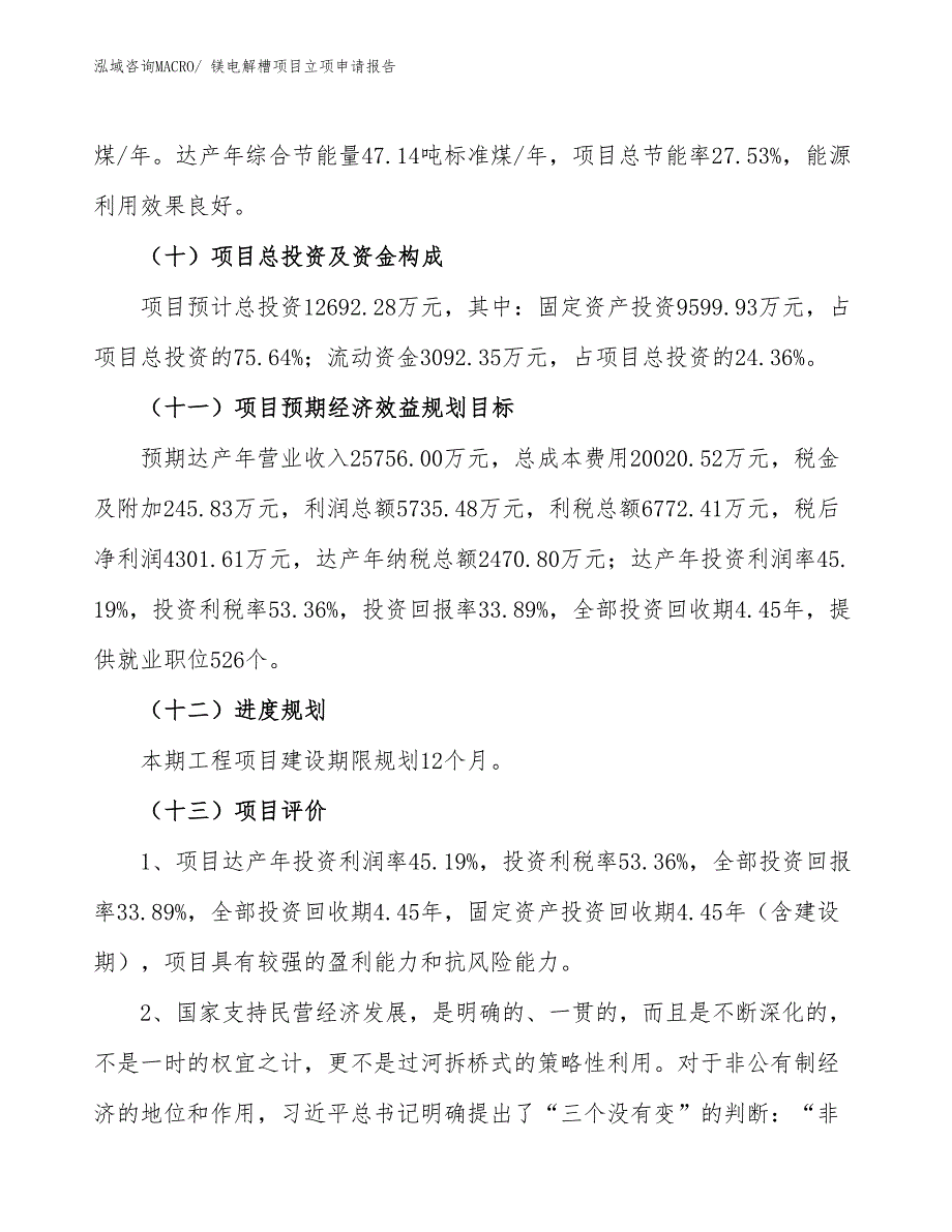 （案例）镁电解槽项目立项申请报告_第4页