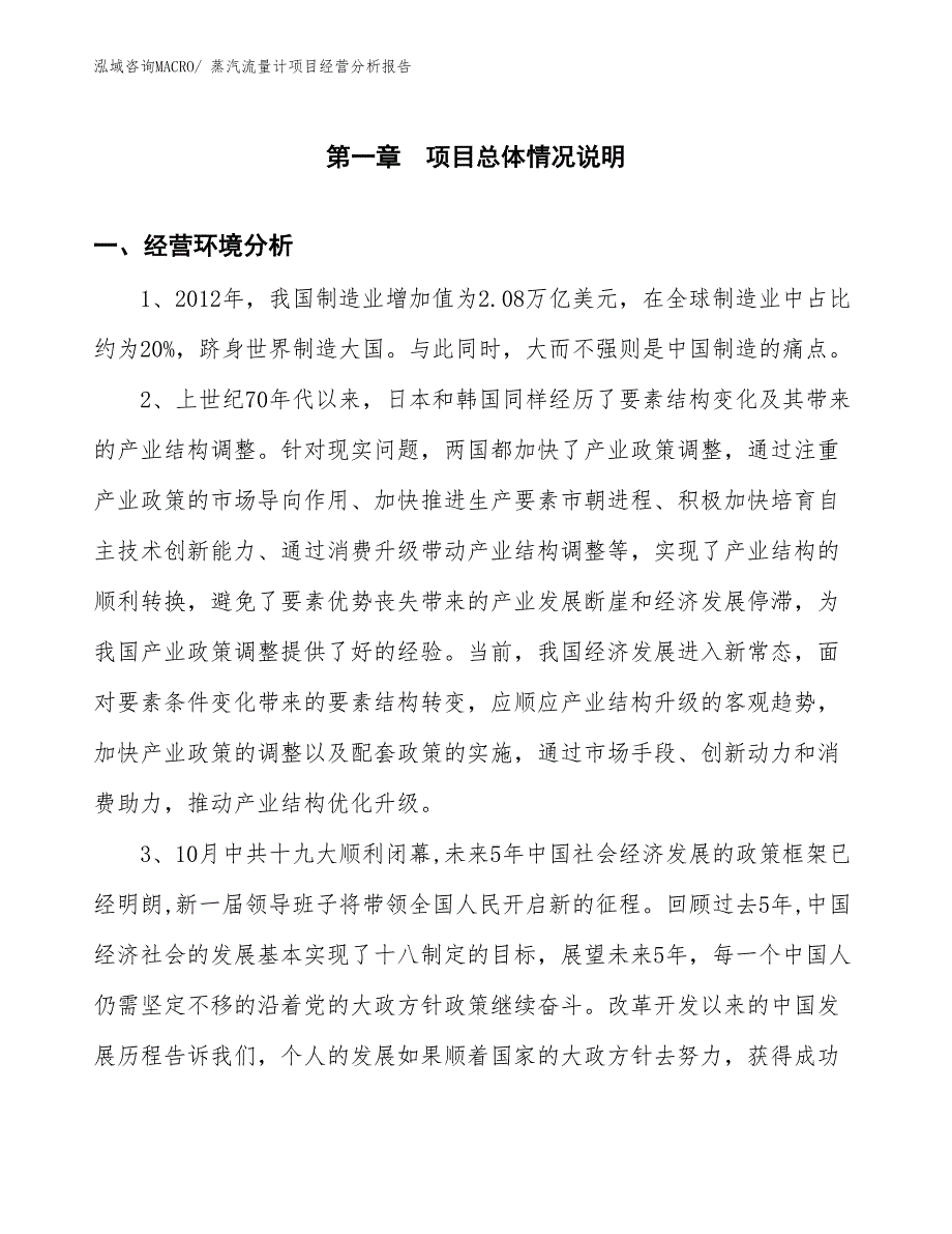 （案例）蒸汽流量计项目经营分析报告_第1页