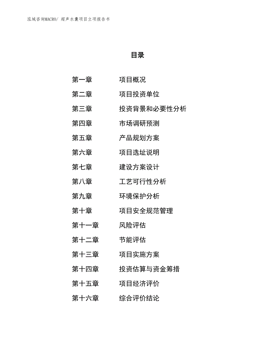 超声水囊项目立项报告书_第1页