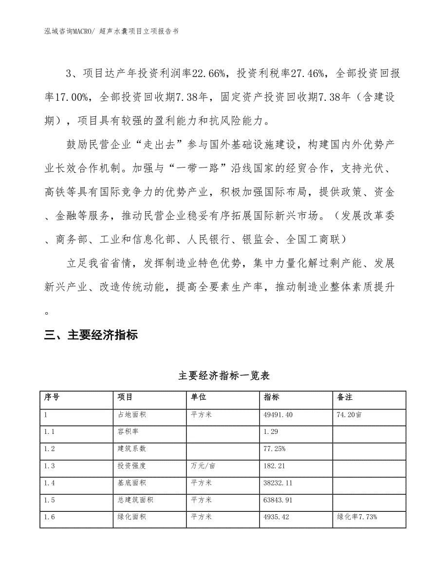 超声水囊项目立项报告书_第5页