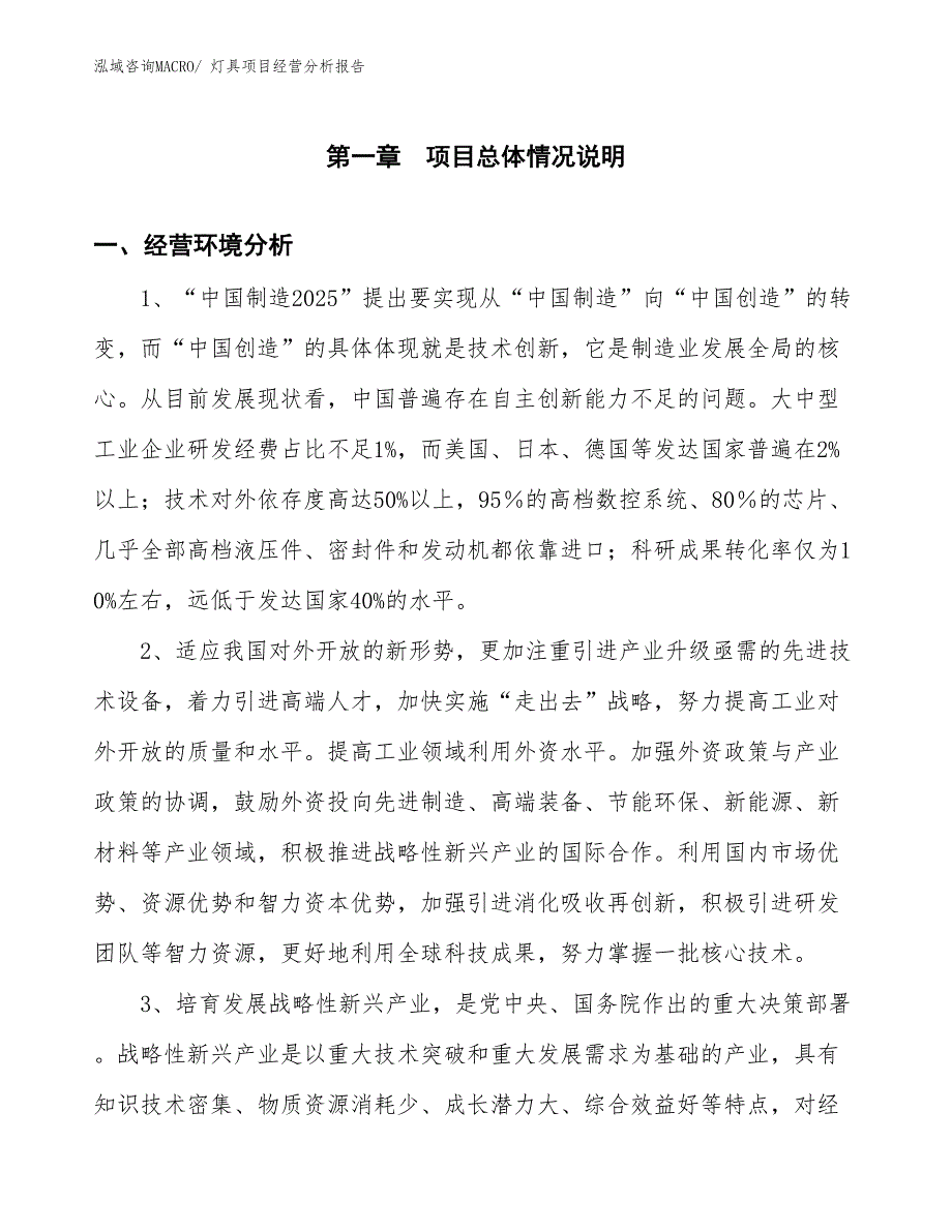 （案例）灯具项目经营分析报告_第1页