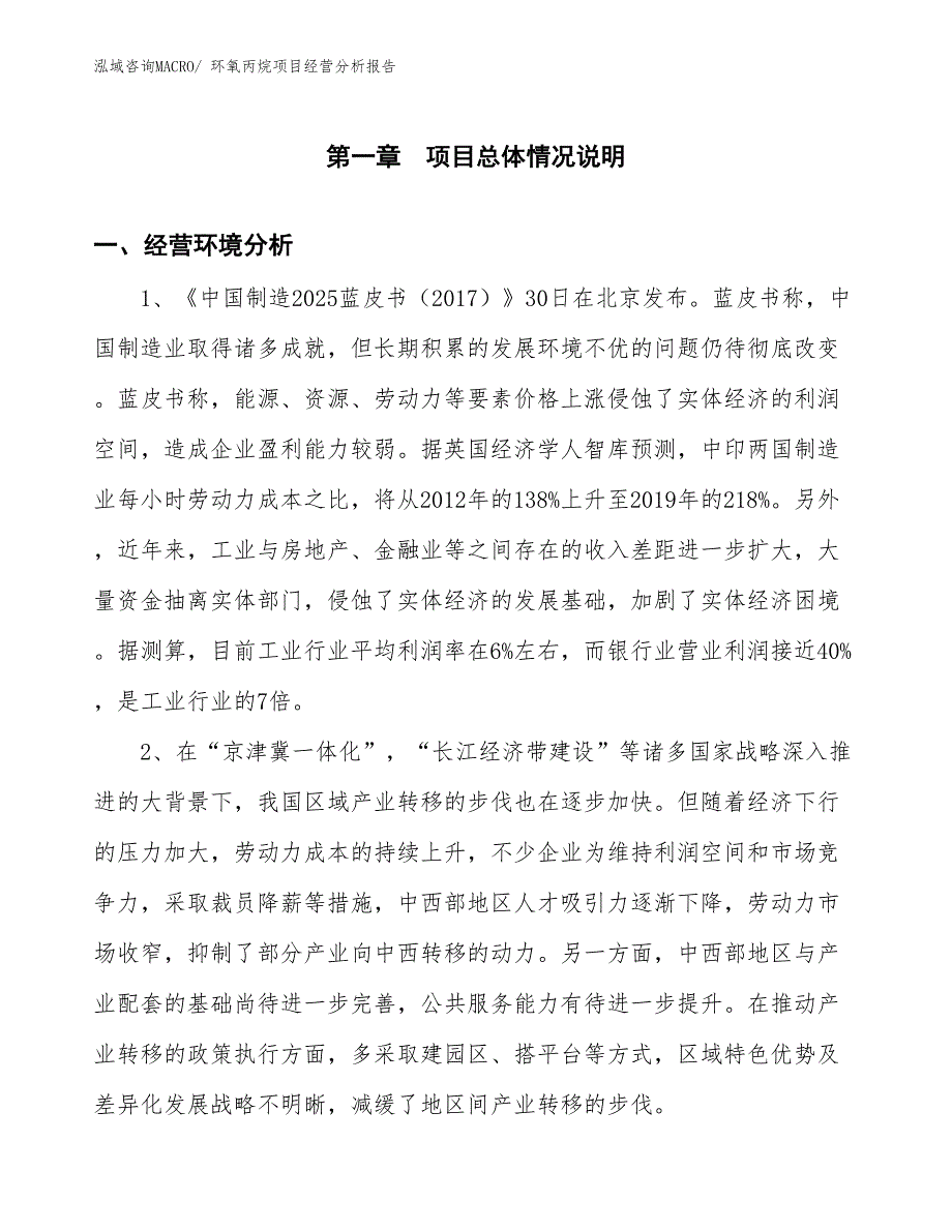 （参考）环氧丙烷项目经营分析报告 (1)_第1页