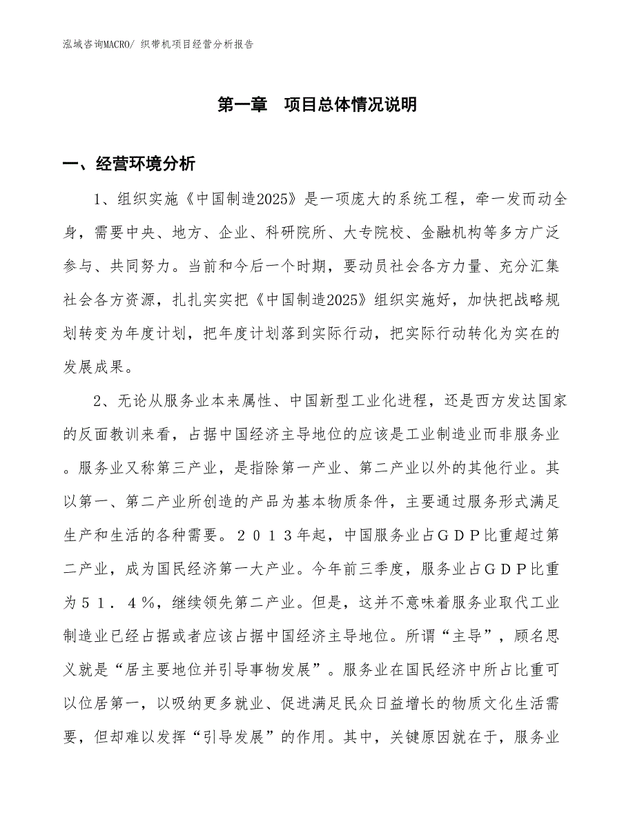 （案例）织带机项目经营分析报告_第1页