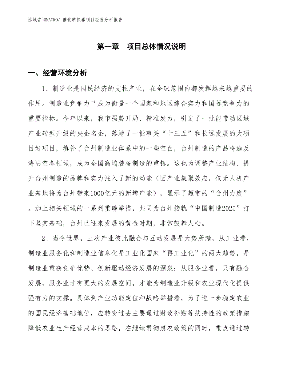 （案例）催化转换器项目经营分析报告_第1页