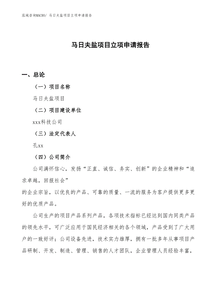 （案例）马日夫盐项目立项申请报告_第1页