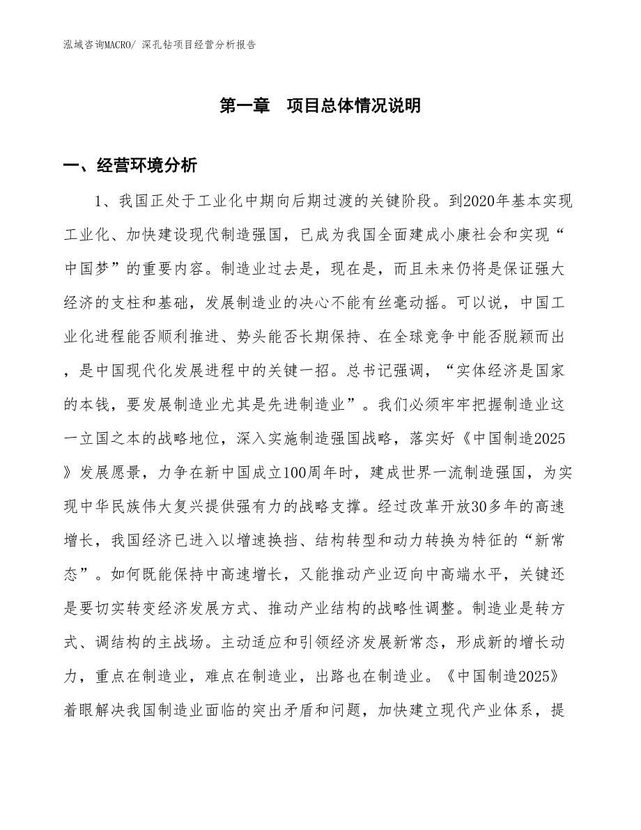 （案例）深孔钻项目经营分析报告_第1页