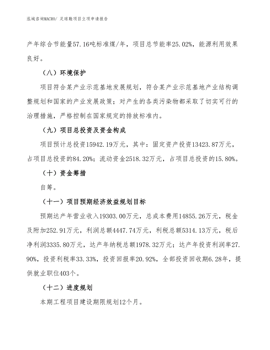 足球鞋项目立项申请报告_第3页